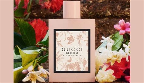 gucci bloom note olfattive